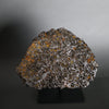 Brahin Pallasite, 653 grams