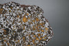 Brahin Pallasite - 509 grams