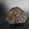 Brahin Pallasite, 653 grams