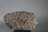 Brahin Pallasite - 509 grams