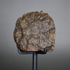 Oriented Chondrite Meteorite - 1.7kg