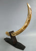 39" Woolly Mammoth Tusk