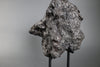 Iron Meteorite, Campo del Cielo, Argentina 28.5kg