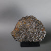 Brahin Pallasite, 653 grams