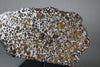 Brahin Pallasite - 509 grams