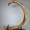 Woolly Mammoth Tusk - 67"