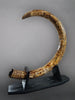 Woolly Mammoth Tusk - 9' long, 100 lbs.