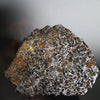 Brahin Pallasite, 653 grams