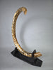 Woolly Mammoth Tusk - 67"