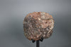 Oriented Chondrite Meteorite - 1.7kg