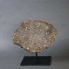 Massive Moon Rock - Oued El Hamim - 884 gram slice