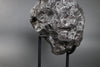 Iron Meteorite, Campo del Cielo Shrapnel - 28 kg