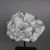 Lunar Meteorite Slice, Gadamis 004 - 138 grams