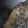 Brahin Pallasite, 653 grams