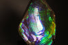 Ammolite Piece with Vibrant Blue - 9.5”