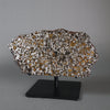 Brahin Pallasite - 509 grams