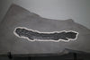 Gyropthychius agassizi - Fish Fossil from Scotland