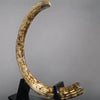 Large 9' Mammoth Tusk - 100 lbs.