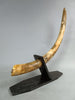 39" Woolly Mammoth Tusk