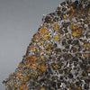 Brahin Pallasite, 653 grams