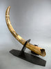 39" Woolly Mammoth Tusk