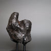 Iron Meteorite, Campo del Cielo, Argentina