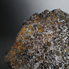 Brahin Pallasite, 653 grams