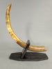 28" Woolly Mammoth Tusk