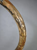 Woolly Mammoth Tusk - 67"