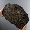 Massive Brenham Pallasite - 1,879 grams