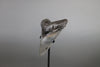 Impressive Megalodon Shark Tooth - 6"