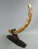 39" Woolly Mammoth Tusk