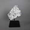 Lunar Meteorite Slice, Gadamis 004 - 119.6 grams