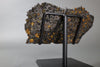 Brahin Pallasite - 143 grams