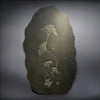 Jurassic Crinoid - 56.3"