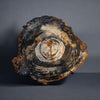 Petrified Wood - Auracarioxylon