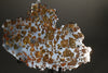 Imilac Pallasite, 122 grams