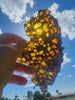 Imilac Pallasite, 122 grams