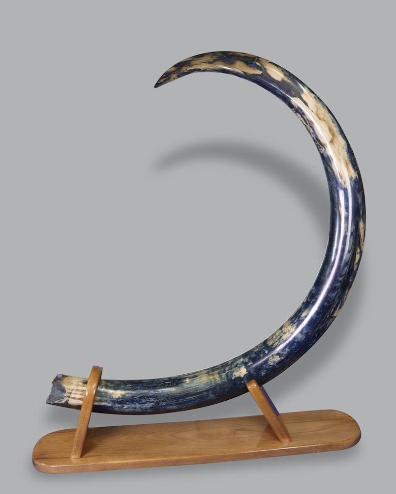 Huge Blue Mammoth Tusk For Sale - Alaska, 119 lbs. - Rare Vivianite ...